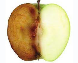 Anti-oxidation