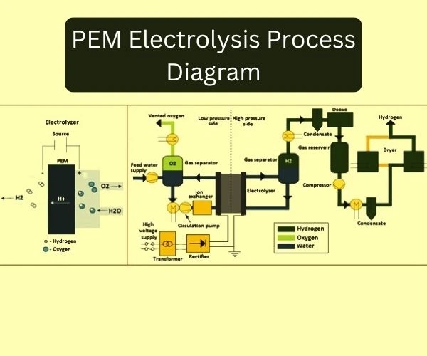 PEM electrolysis process diagram