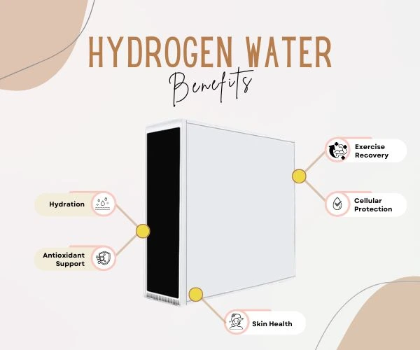Benefits of Hydrogen Water  Generator